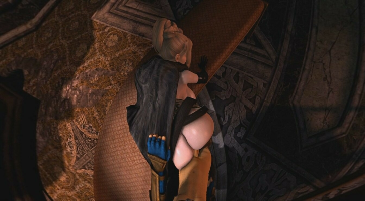 Rachel in Ninja Gaiden XXX Parody - Hot VR Action - Image 5