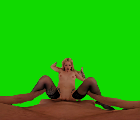 Passthrough Doggy/Missionary Compilation - Image 3